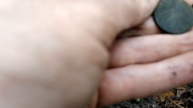 Добиваю серебряный хутор. Выскочил ПЯТАЧЕЛЛО. Коп 2019. Часть 2. смотреть онлайн