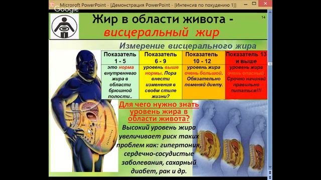 1. Почему выгодно иметь тонкую талию  . Елена Бахтина