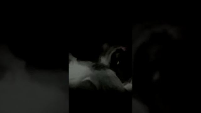 Ромео и Джульетта театр Дуровой театриум смотреть онлайн