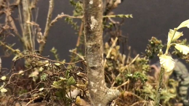 Diorama 1/35 “Bravo 6” (Vignette) Vietnam war. Using Bravo6 figures. смотреть онлайн