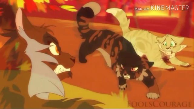 Коты воители. Клип Огнезвезд и Песчаная Буря Listen to your heart смотреть онлайн