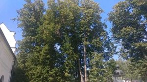 Поездка в с.Махра. Владимирская обл. Видео прогулка  Стефано-Махрищский монастырь.