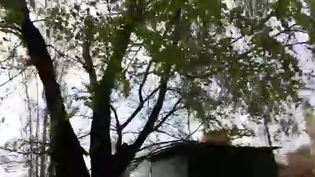 Нашли куклу смотреть онлайн