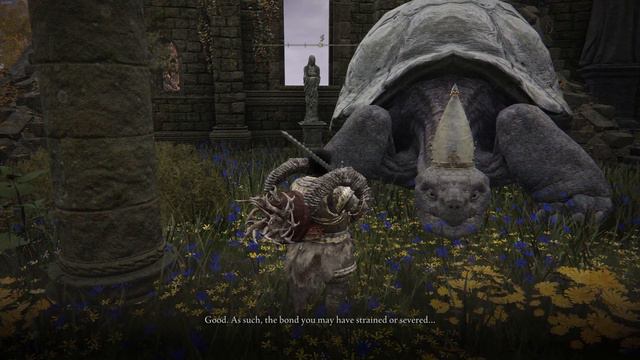 Miriel (Turtle Pope) - Absolution