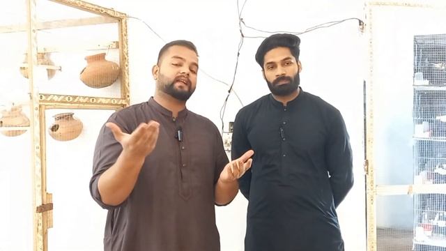 Future of Java Finch| Visit Bilal Shiekh Aviary| 16-10-22| смотреть онлайн