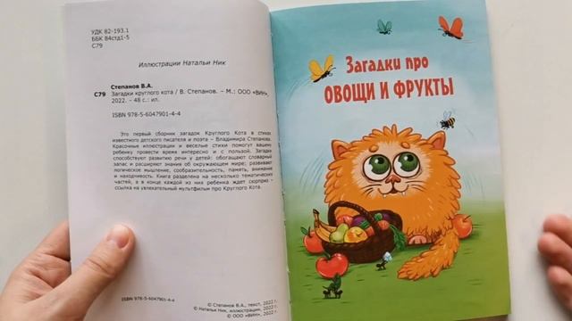 Чем занять ребенка в дороге? Нескучайка для ребенка. Загадки круглого кота.