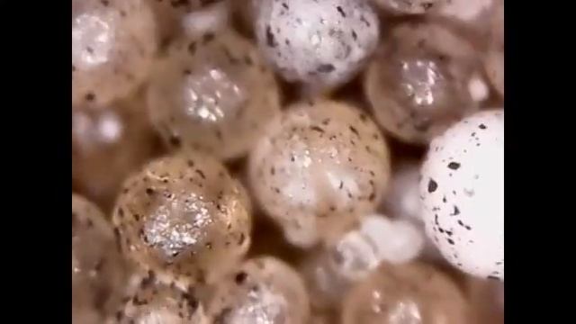 Порох | Под микроскопом | Увеличение 80х смотреть онлайн