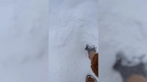 Учусь летать на FPV дроне.mp4