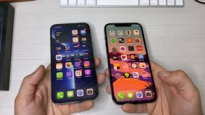 12 pro max vs 13 pro max. Какая "лопата" лучше?