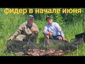 Удивительные поклевки: рыбалка на фидер на реке  Шача