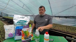 Первая Важная фосфорная подкормка рассады Томата,мощная Корневая система