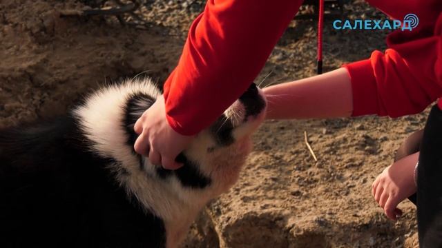 Марафон добрых дел смотреть онлайн