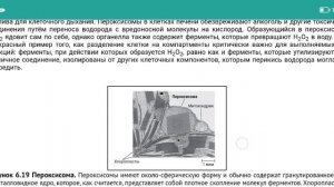 ПЕРОКСИСОМЫ для ЕГЭ по биологии