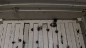 Это ж 40ковка (Ненавязчивая реклама контейнера 30м2)