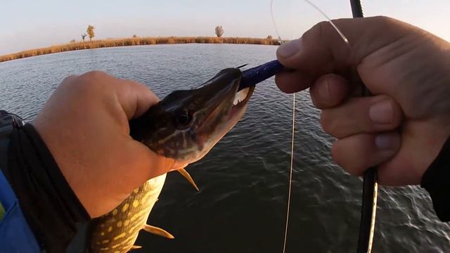 ЩУКА\ПОИСК и ТРЕНИРОВОЧНАЯ РЫБАЛКА#ЩУКА#ВОБЛЕР#ТВИЧИНГ#ОКУНЬ#ДЖИГ#СУДАК#СПИНИНГ#СИЛИКОН#БЛЕСНА# смотреть онлайн