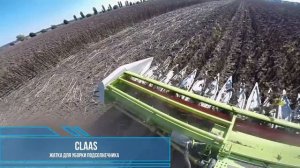 сравнительные испытания  жатки для уборки подсолнечника  FRANCO FABRIL