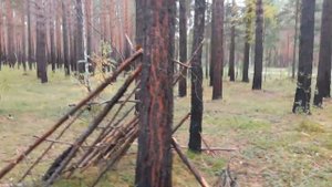 Укрытие в лесу - Как построить