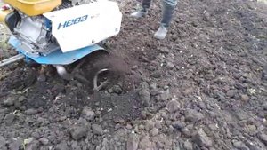 Перекопка земли, сезон открыт.