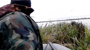 Охота с чучелами на Яхроболе