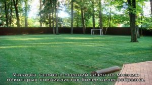 Укладка газона: когда лучше стелить