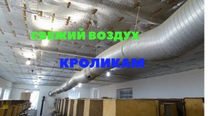 Система вентиляции в крольчатнике