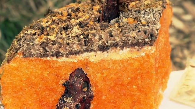Яркие афоризмы афонского старца  вызывающие глубочайшую озабоченность