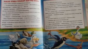 какая птица плавает быстрее всех