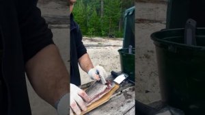 пятиминутка или обдир хариуса, очень вкусно! часть 1