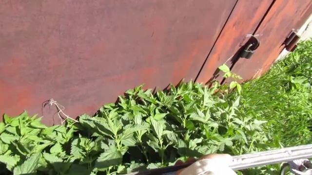 Кованое зеркало своими руками смотреть онлайн