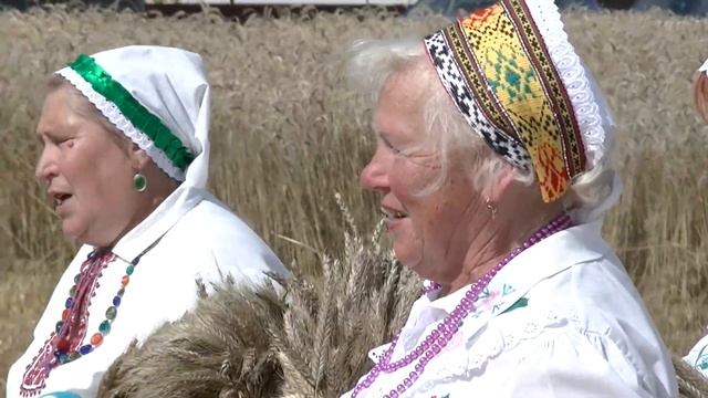 Видеосюжет "Зажинки" в Больших Новоселках"