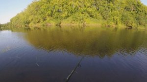 Рыбалка на хищника 23.07.2023.