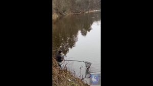 Хороший клёв. #Shorts