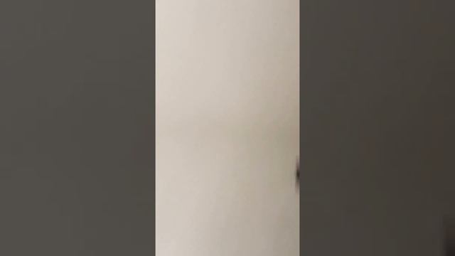 Шпатлевка, Штукатурка для ремонта - выбираем правильную смотреть онлайн