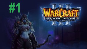 #1 Warcraft 3 Проклятие отрекшихся 3.0 Глава первая: Необходимое вмешательство.