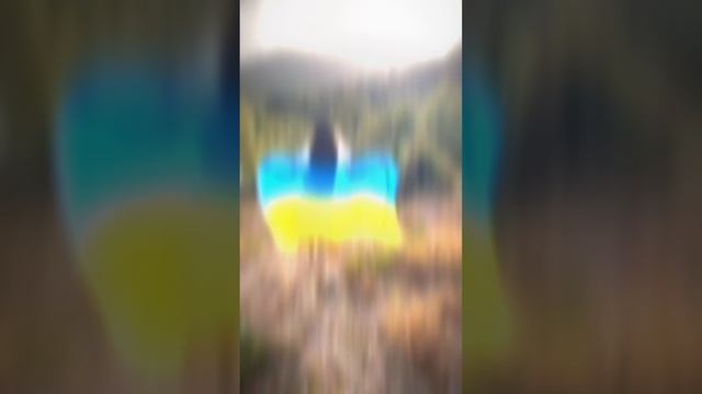 LADY DIANA TIKTOK💞💕💝💘💖💗💓 смотреть онлайн