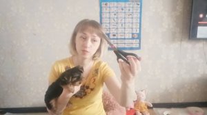 ЧТО НУЖНО ДЛЯ ЩЕНКА В ДОМЕ: ПЕРВЫЕ ПОКУПКИ | ЙОРКШИРСКИЙ ТЕРЬЕР