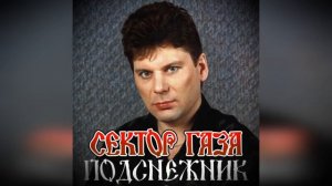 Сектор Газа -  Подснежник ( 🎸Песня под гитару🎸)