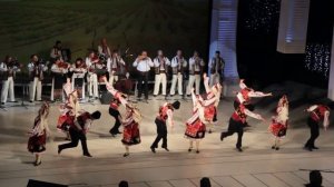 Молдавский ансамбль "Жок" на дне Химика в Южном_4