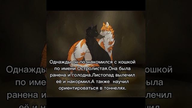 История Листопада/Коты-воители