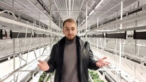 СКОЛЬКО ПРИНЕСЛА КЛУБНИЧНАЯ ЛАБА // ПРОДАЛ ВСЁ // НОВЫЙ ЦЕХ