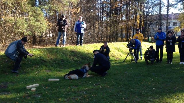 Politseikoer Eros näitab enda oskusi смотреть онлайн