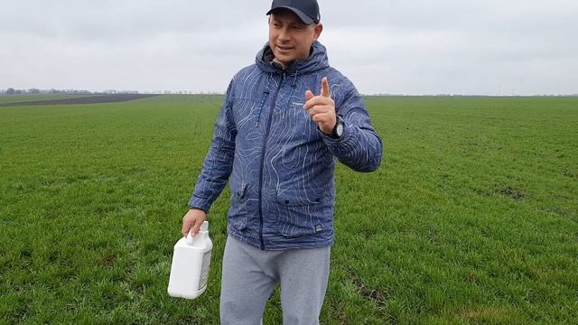 Стимулятор роста Регоплант в норме 50мл/га на все культуры.  Прибавка качественного урожая на 10-15