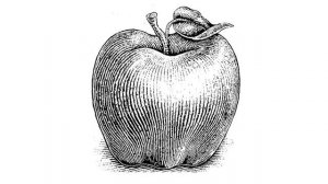 Натюрморт в графике. Роль и значение материала в конструкции