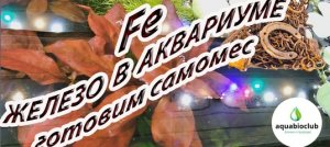 Железо в аквариуме, готовим самомес хелата железа.