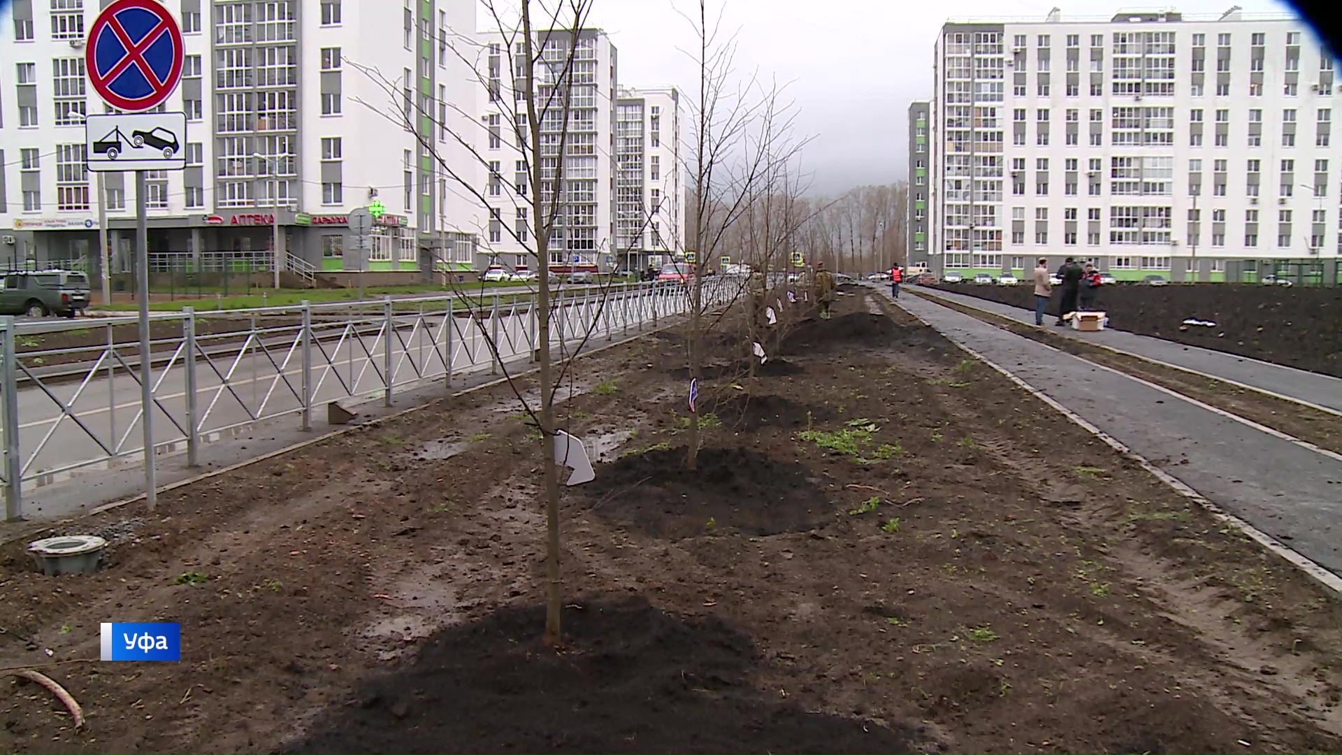 Парк южное тушино. Появится аллея. Губкин липовая аллея. Аллея на участке. Аллея славы в тушинском парке северное тушино.