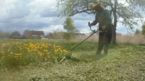 Stihl fs 130 покос невысокой травы.