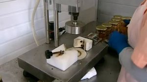 Заготовка сибирских дикоросов