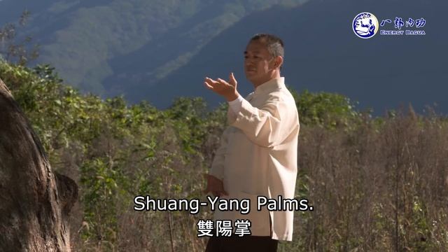 學習轉身換掌，深入了解八卦內功 | 神秘的八卦內功 第4天 | 神秘的八卦內功網路課程