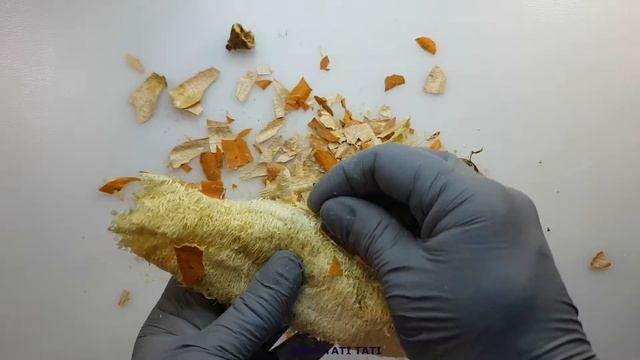 ASMR.ЭКОЛОГИЧЕСКАЯ МОЧАЛКА. ЭКОЛОГИЧЕСКАЯ ГУБКА. ЛЮФФА смотреть онлайн