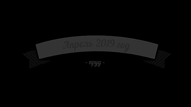 Рыбалка на Новотроицком пруду. Елыкаевская сторонка - Кемеровский район смотреть онлайн